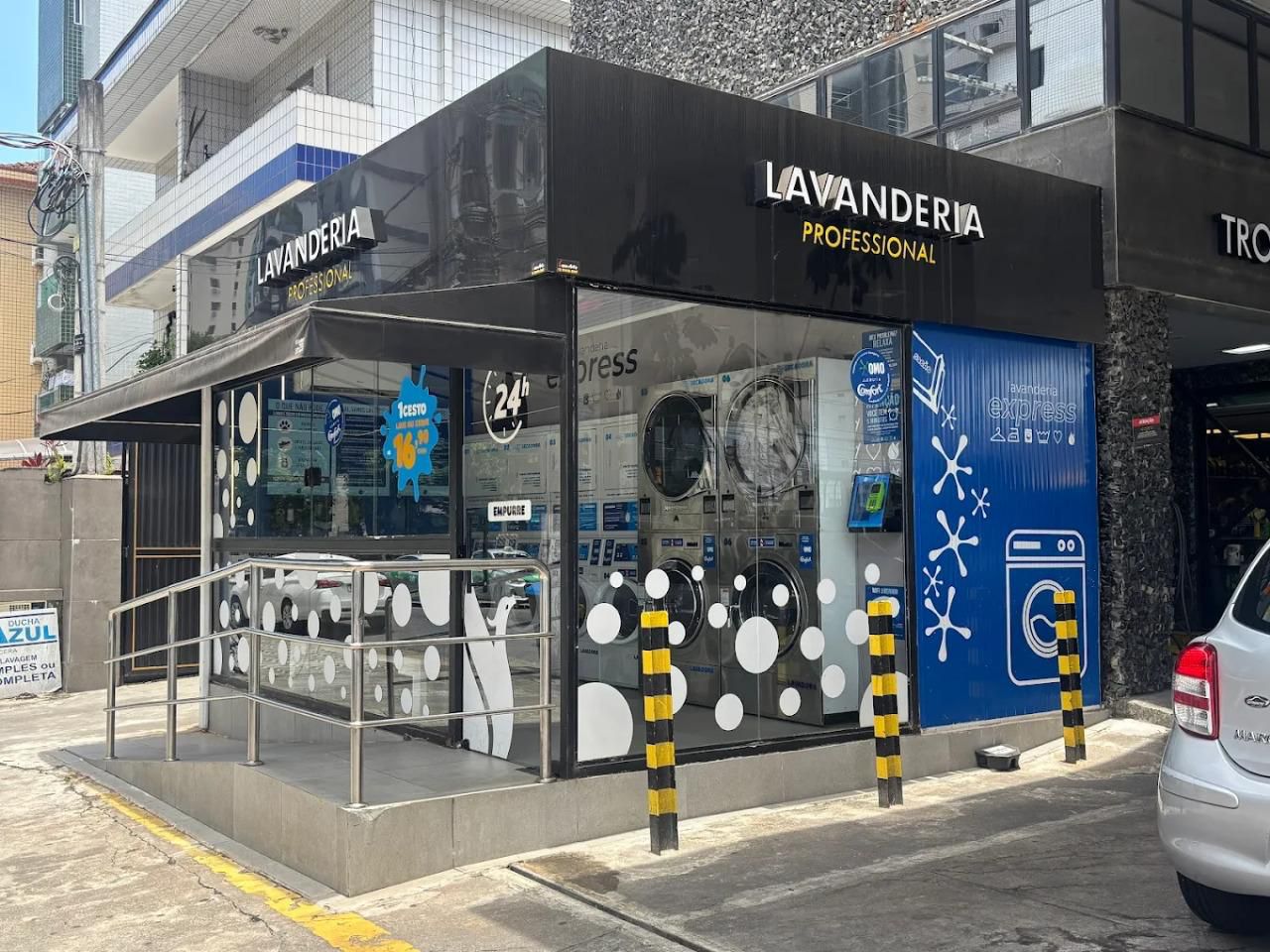 Lavanderia Professional